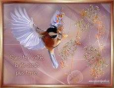 Carte Amiti� 11
