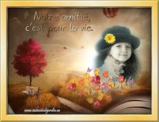 Carte Amiti� 13