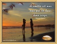 Carte Amiti� 1