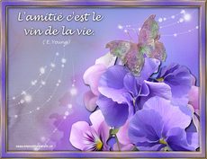 Carte Amiti� 5