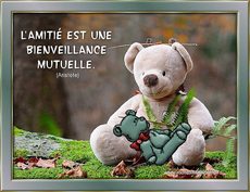 Carte Amiti� 9