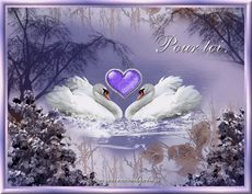 Carte Amour anim�e 8
