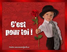 Carte Amour 24