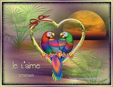 Carte Amour 29