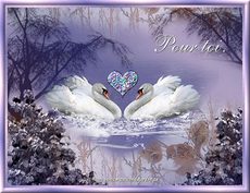 Carte Amour 34