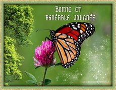 Carte Bonne journ�e / Bonjour