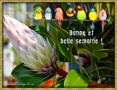 Carte Bonne semaine