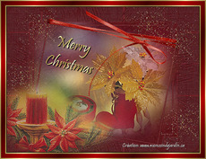 Carte Holidays statique 7