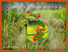 Carte Jour de la Terre statique 1