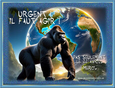 Carte Jour de la Terre statique 6