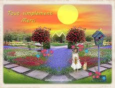 Carte Merci 1