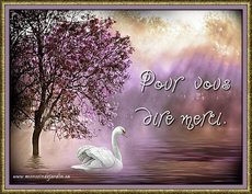 Carte Merci 9