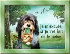 Carte Pardon / Excuses 1