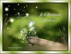 Carte Pardon / Excuses 4