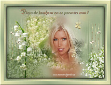 Carte Premier mai statique 4