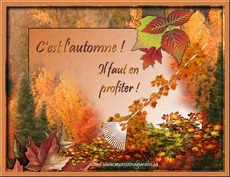 Carte Automne 11