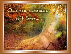 Carte Automne 2