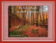 Carte Automne 9