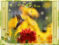 Carte �t� 1