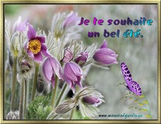 Carte �t� 2