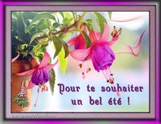 Carte �t� 1