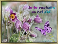 Carte �t� 7