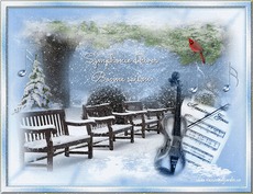Carte Hiver 1