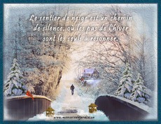 Carte Hiver 5