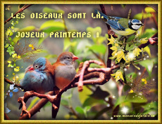 Carte Printemps 2