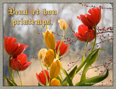 Carte Printemps 6