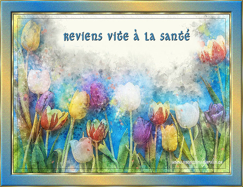 Carte Sant� 2