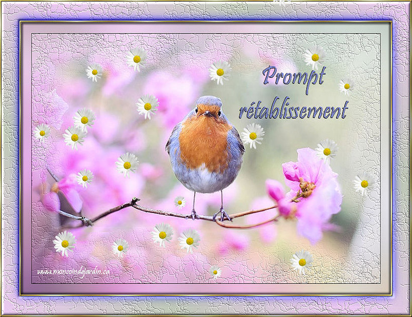 Carte Sant� 4