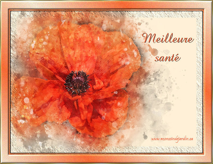 Carte Sant� 5