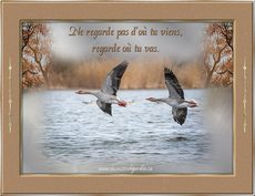 Carte Soyons positifs 6