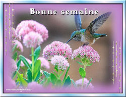Bonne semaine
