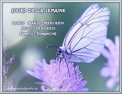 Jours de la semaine